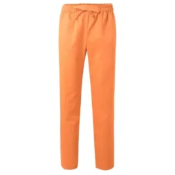 Pantalone Sanitario da Lavoro Velilla 533001